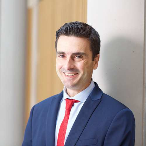 Professor Vangelis Tsiligkiris